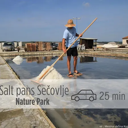 شقة Sea And Sun Ankaran, Near The Beach, Free Parking And Wi-fi, Stunning Sunset, 80m2