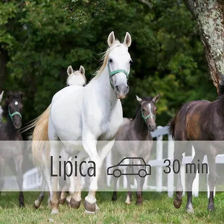 شقة Sea And Sun Ankaran, Near The Beach, Free Parking And Wi-fi, Stunning Sunset, 80m2