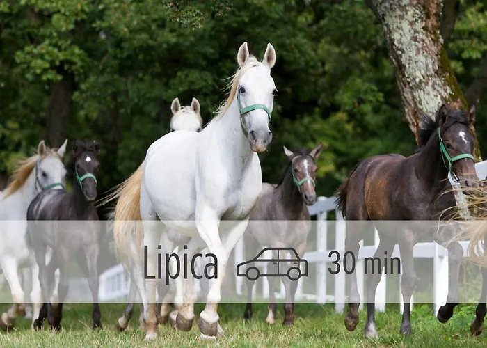 Apartma Sea And Sun Ankaran, Near The Beach, Free Parking And Wi-fi, Stunning Sunset, 80m2